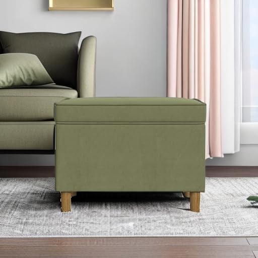 Light Sage Green Velvet