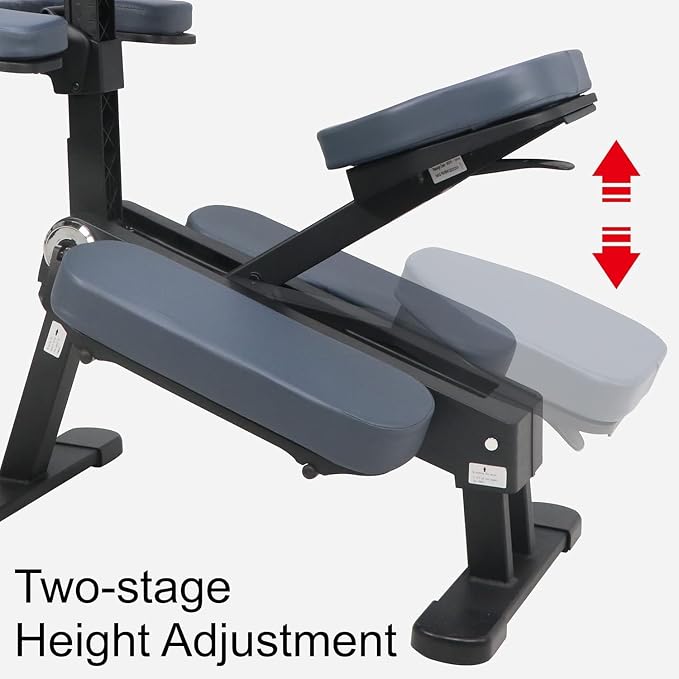 Gymlane Chair