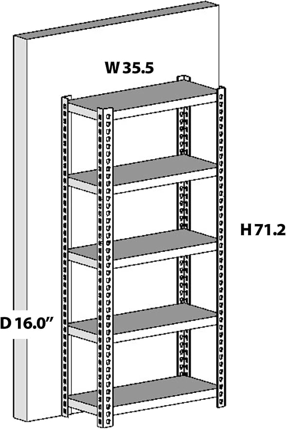 W x 71.2\