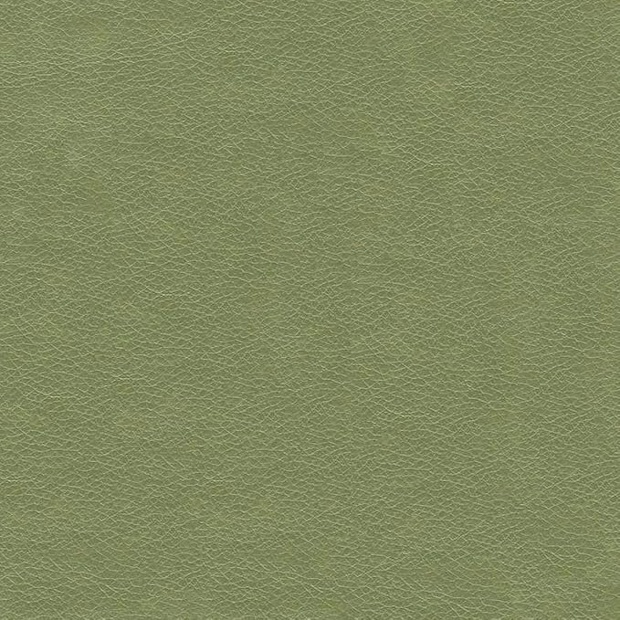 Moss Green