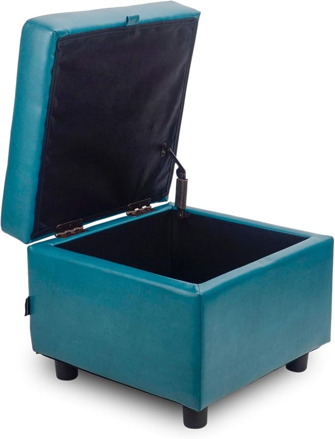 Blue With Storage