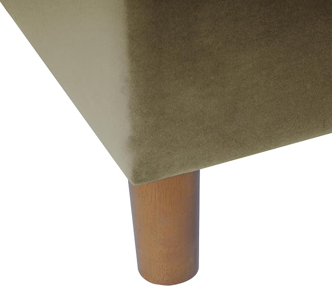 Light Sage Green Velvet
