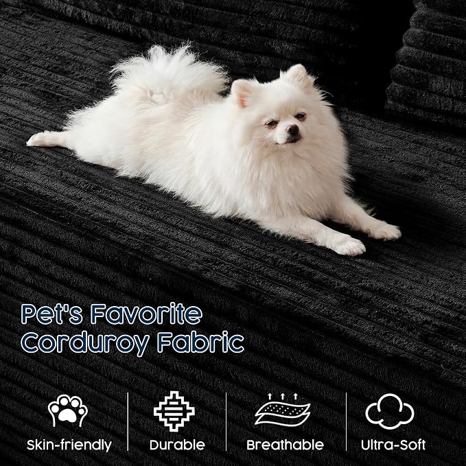 Black(plush Corduroy Fabric)