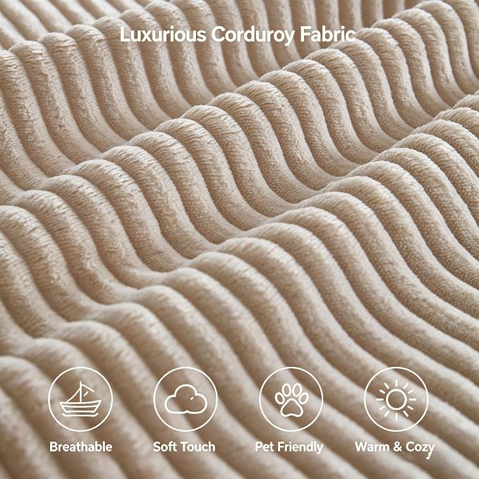 Camel +Corduroy + Foam+spring
