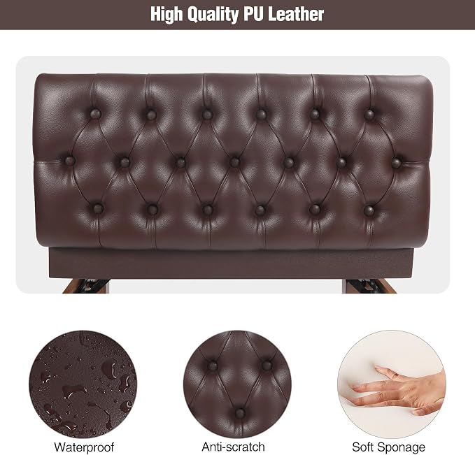 Brown Modern