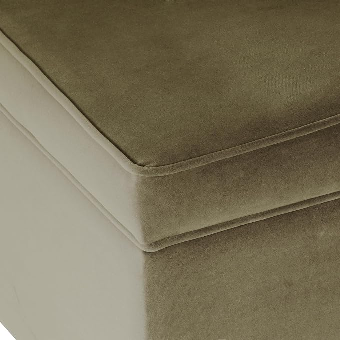 Light Sage Green Velvet