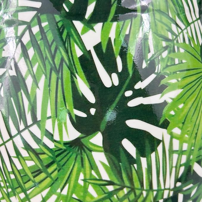 Tropical Rainforest