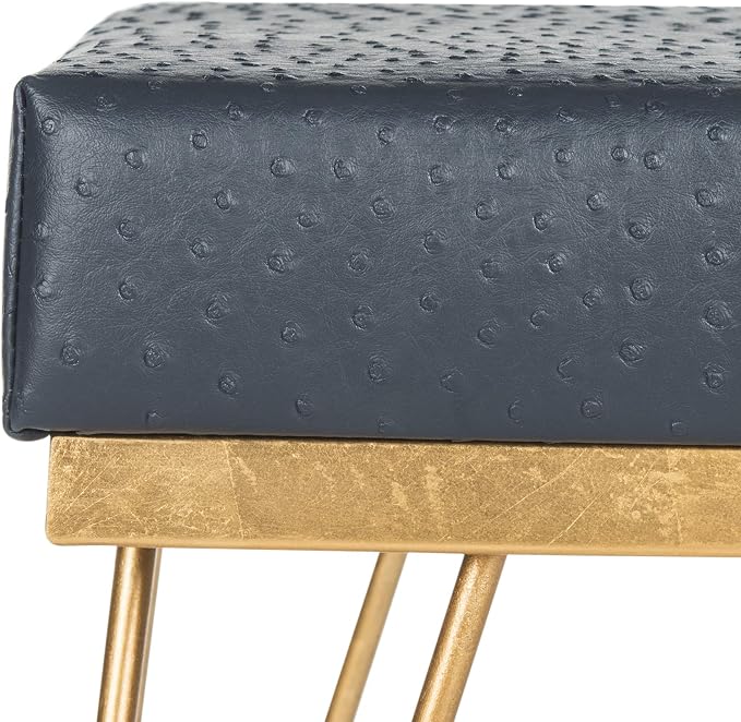 Navy / Gold
