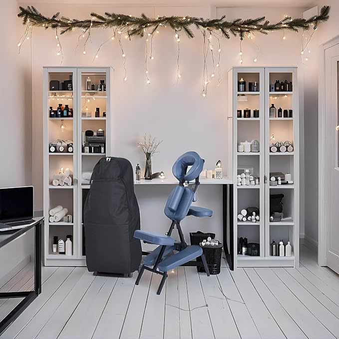 Pro Chair
