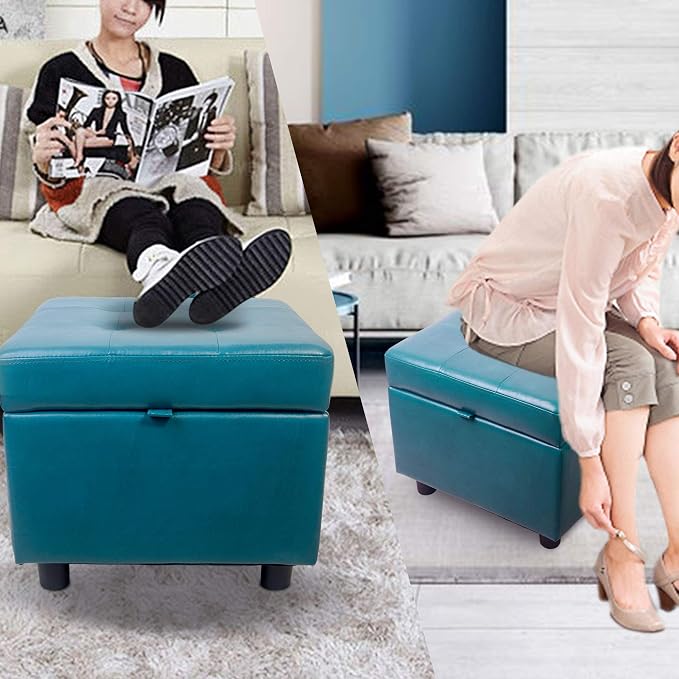 Blue With Storage
