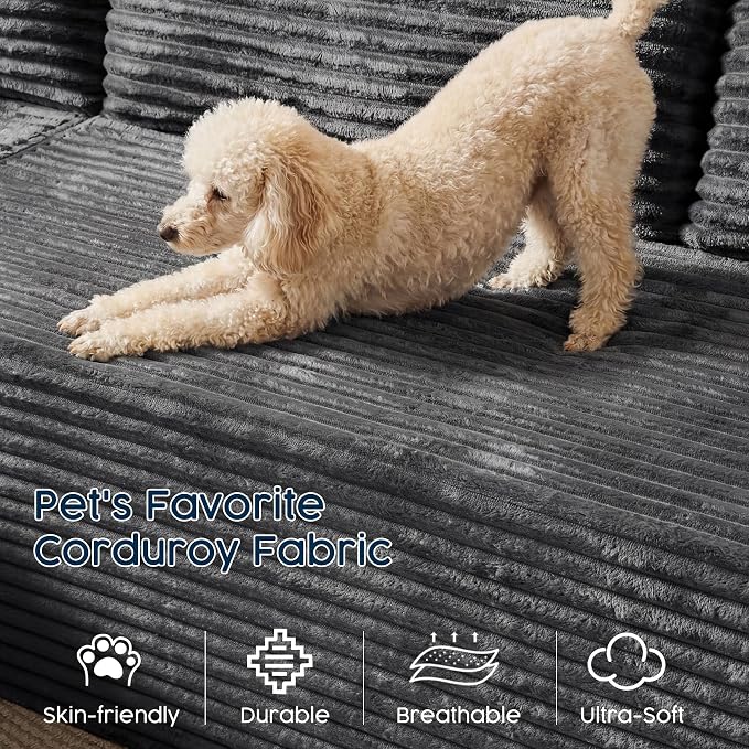 Grey(plush Corduroy Fabric)