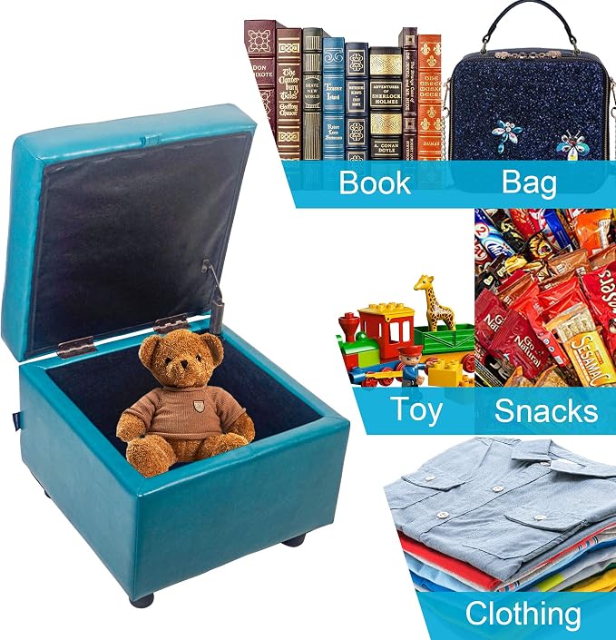 Blue With Storage