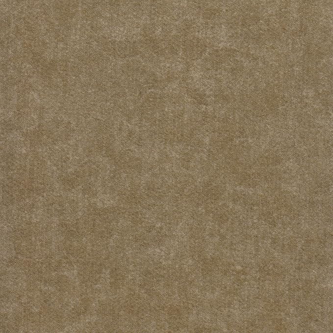Mocha Velvet